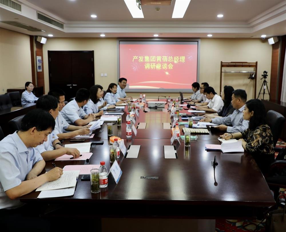 集團黨委副書記、總經(jīng)理黃蓓帶隊調研濟南市工程咨詢院